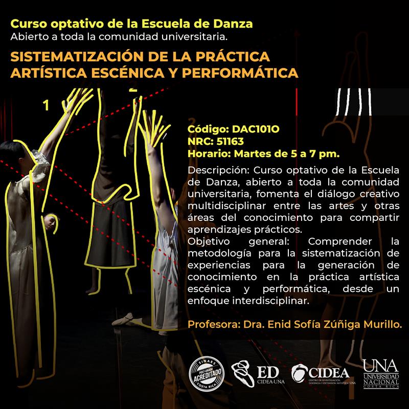 Sistematización de la Prática Artística Escénica y Performática